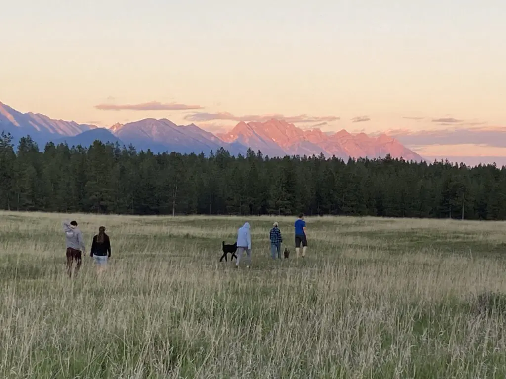 Outdoor Wellness Walk